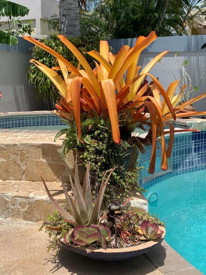 Gorgeous Place Pool And Patio Santa Isabel Exterior photo